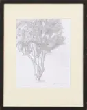 Six Works on Paper by American School, pencil and ink, offered Aug 2023