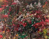 John Wawrzonek, Wild Leaf and Flower, 1998, Dye transfer print; titled