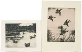 Frank Weston Benson, Three Waterfowl Prints, including: