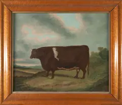 British School, 20th century, Portrait of a Cow, oil on canvas