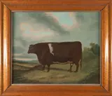 British School, 20th century, Portrait of a Cow, oil on canvas