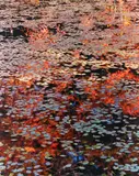 John Wawrzonek, A Brilliant Stillness II, 1991, Dye transfer print; titled