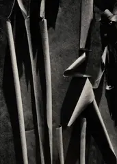 Ansel Adams, Madrone Bark from Presidential Portfolio, 1980, Offset lithograph (poster); reproduction by Pacific Lithograph Company, San Francisco