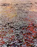 A Brilliant Stillness I by A Brilliant Stillness I John Wawrzonek, 1991, Dye transfer print; titled, sold Aug 2023