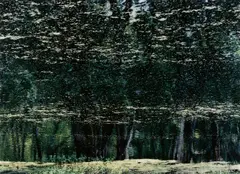 Jean Lafitte National Park by Axel Hütte, 2005, C-Print. Im Künstlerrahmen, sold Jul 2020