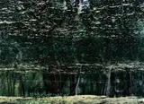 Axel Hütte, Jean Lafitte National Park