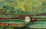 Karl Zorn, Victoria regia. 1920er-Jahre, Öl auf Leinwand