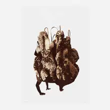 Nick Cave, Amalgam (Brown), 2015, lithograph in four colors on White Somerset Satin paper