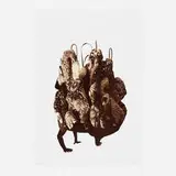 Nick Cave, Amalgam (Brown), 2015, lithograph in four colors on White Somerset Satin paper