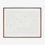 Ed Ruscha, Pearl Dust Combination (from Insects), 1972, screenprint with pearl dust on paper
