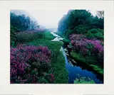 John Wawrzonek, Dreamed Brook, 1987, Dye transfer print; titled