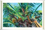 Jacqueline Roch, Viento, pastel on paper