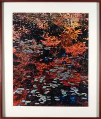 John Wawrzonek, A Brilliant Stillness III, 1991, Dye transfer print; titled
