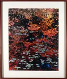John Wawrzonek, A Brilliant Stillness III, 1991, Dye transfer print; titled