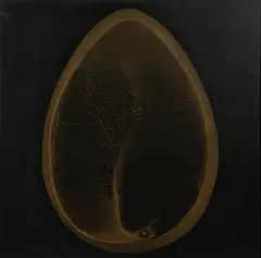 Aldo Sessa, Nacimiento de Tharsis