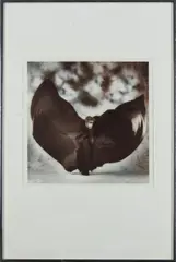 Gilles Larrain, Batman