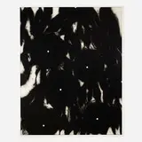 Donald Sultan, Morning Glories II, 1991, etching and aquatint