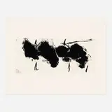 Robert Motherwell, Altamira Elegy