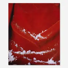 James Welling, untitled, c-print mounted behind acrylic
