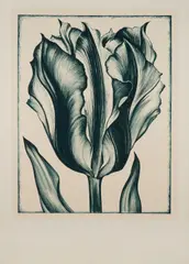 Lowell Nesbitt, Tulip