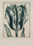 Lowell Nesbitt, Tulip