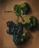 American School, Still Life of Grapes on the Vine, pastel on paper