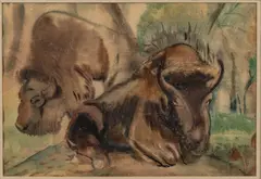 Adge Baker, Bison, watercolor