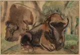Adge Baker, Bison, watercolor
