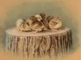 American School, Baby Birds on a Stump, pastel