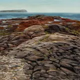 Teri Malo, Good Morning, Grand Manan