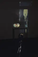 Tony Oursler, Separation, 1999, Videoinstallation: Stahlsockel, Acrylglashaube, Kunststoffkörper, Stativ, LCD-Projektor und DVD-Spieler. Maße Variabel