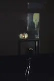 Tony Oursler, Separation, 1999, Videoinstallation: Stahlsockel, Acrylglashaube, Kunststoffkörper, Stativ, LCD-Projektor und DVD-Spieler. Maße Variabel