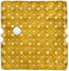 Xiangyu He, 200g Gold, 62g Protein, 2012, copper, 99.9% pure gold and egg