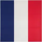 Jean Pierre Raynaud, Drapeau, 1998, flag mounted on stretcher