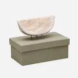 Ralph Lemon, Watermelon, epoxy clay, lignin-free box construction, wax and VHS construction