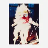 Doll with Mask by Cindy Sherman, 1987, chromogenic print on Fujicolor paper, sold Jun 2021