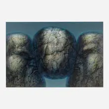 De Es Schwertberger, Untitled, 1975, oil on Masonite