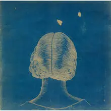 Audrey Niffenegger, Nineteenth Century Hair (Inverted) Ferocious Bon Bon #30