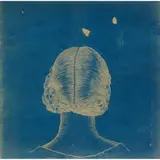 Audrey Niffenegger, Nineteenth Century Hair (Inverted) Ferocious Bon Bon #30