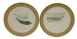 Wally Vivian Cole, Walter Vivian Cole (1913-1999), two white glazed chargers