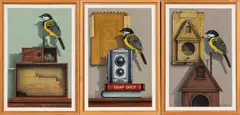 James Carter, Three Works: Travel Plans, Snap Shot #4, and Bird House, acrylic on board