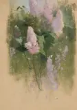 Emil Carlsen, Study of Lilacs in Bloom