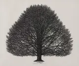 Jacques Hnizdovsky, Two Prints: Copper Beech and Squirrel,, Copper Beech: Signed