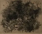 Herbert Lewis Fink, The Great Pond, etching on paper