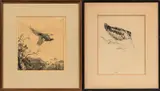 Anglo & American School, Two Framed Etchings of Birds:, Henry Emerson Tuttle (American, 1890-1946), Woodcock (1923)