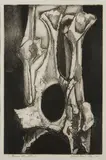 Albert Wein, Bone Structure