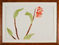 Ed Baynard, Vermillion Clair Orchid