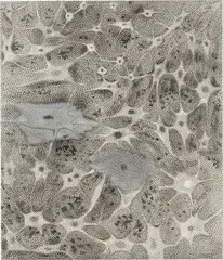 Ross Bleckner, PATHWAY, 1998, Öl auf Leinwand