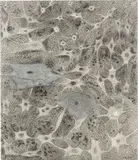 Ross Bleckner, PATHWAY, 1998, Öl auf Leinwand