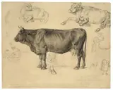 Rinderstudien (9 Blatt) by Christian Friedrich Gille, Um 1846, Pinsel in Grau und Schwarz sowie Bleistift (1 Bl. nur Bleistift), jeweils auf Papier, sold May 2013